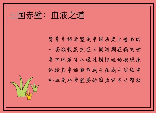 三国赤壁：血液之道